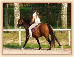 Trénink na kolbišti, srpen 2011