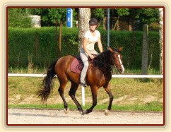 Trénink na kolbišti, srpen 2011