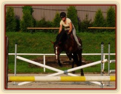 Trénink na kolbišti, srpen 2011