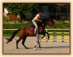 Příprava na ZZV klisen, skoková řada, srpen 2011