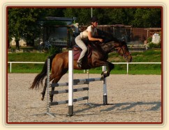 Příprava na ZZV klisen, skoková řada, srpen 2011