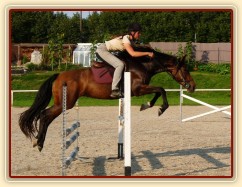 Příprava na ZZV klisen, skoková řada, srpen 2011