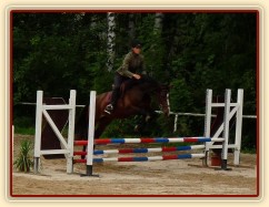 Opracování na kolbišti před závody, konec srpna 2011