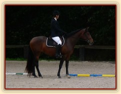 ZZV tříletých klisen, před drezurní úlohou, 7.9.2011