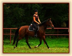 Bára na prvních závodech 27.8.2011 v Domažlicích, opracování před parkurem