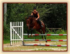 Bára na prvních závodech 27.8.2011 v Domažlicích, opracování před parkurem