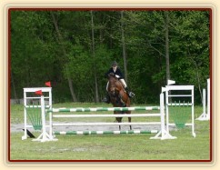 Závody v Herouticích, parkur ZL