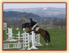 Závody na Dražce, parkur ZL