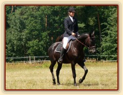 Carthago při opracování před drezurou při závodech všestrannosti