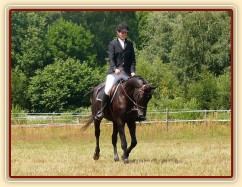 Carthago při opracování před drezurou při závodech všestrannosti