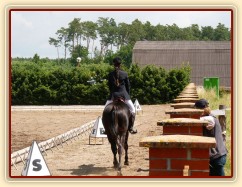 Carthago před vjezdem do drezurního obdélníku při závodech všestrannosti