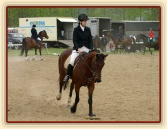 Závody v Herouticích, opracování