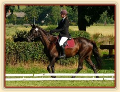 Arwen před drezurní úlohou při závodech všestrannosti