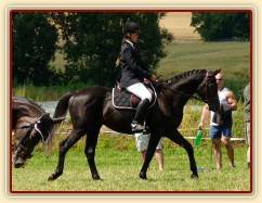 Carthago při opracování před drezurou při závodech všestrannosti stupně ZL, Humpolec 16.7.2011