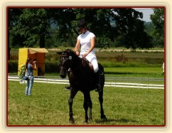 Carthago při opracování před drezurou při závodech všestrannosti stupně ZL, Humpolec 16.7.2011