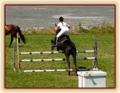 Carthago při opracování před parkurem při závodech všestrannosti stupně ZL, Humpolec 16.7.2011