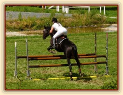 Carthago při opracování před parkurem při závodech všestrannosti stupně ZL, Humpolec 16.7.2011