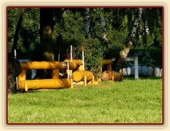 Humpolecké závodiště, terénní skoky