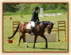 Závody na Dražce, opracování