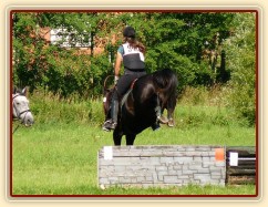 Carthago při opracování před crossem, všestrannost stupně ZL, Humpolec 17.7.2011