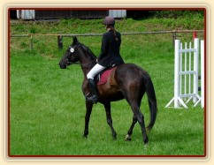 Arwen a opracování před parkurem stupně ZM, Hostouň 23.7.2011
