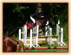 Arwen a opracování před parkurem stupně ZM, Hostouň 23.7.2011