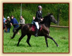 Arwen a opracování před parkurem stupně ZM, Hostouň 23.7.2011