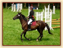 Arwen na dekorování parkuru stupně ZM, 2. místo, Hostouň 23.7.2011