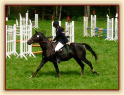 Carthago na dekorování parkuru stupně ZM, 7. místo, Hostouň 23.7.2011