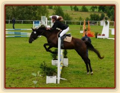 Arwen při opracování před parkurem stupně ZM, Bernartice 30.7.2011