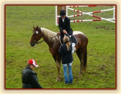 Vikina při dekorování parkuru stupně L, 2. místo, Bernartice 30.7.2011