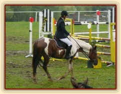 Vikina při dekorování parkuru stupně L, 2. místo, Bernartice 30.7.2011