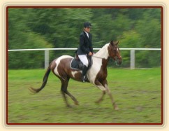 Vikina při čestném kole parkuru stupně L, 2. místo, Bernartice 30.7.2011