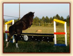 Skok přes překážku na laně