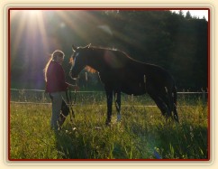 Stoupnutí na špalek - oblíbený cvik všech koní:-)