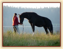 Stoupnutí na špalek - oblíbený cvik všech koní:-)