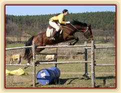 Velký skok :-) (120 x 130)