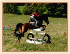 Bára při skokovém tréninku, začátek října 2011