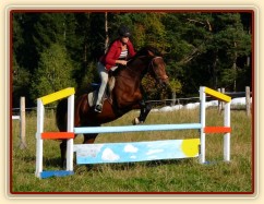 Bára při skokovém tréninku, začátek října 2011