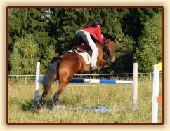 Bára při skokovém tréninku, skok přes "vodu", začátek října 2011