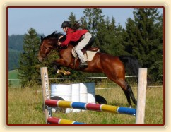 Bára při skokovém tréninku, skok přes sudy, začátek října 2011