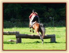 Bára při skokovém tréninku,první skoky přes terénní skoky, začátek října 2011