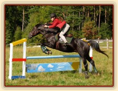 Carthago při nácviku šikmých nájezdů - skákání překážky pod úhlem 45 stupňů