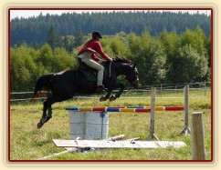 Carthago a skok přes "roh"