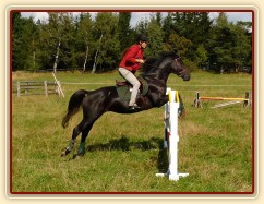 Carthago a nové stojany...