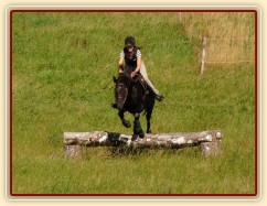 Carthago a skok přes březový oxer