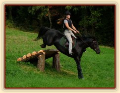 Carthago a skok přes novou rampu, doskok je o dost níž než odskok...