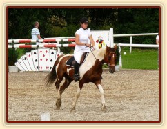 Vikina před startem parkuru, Klatovy 20.8.