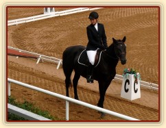 Carthago před drezurní úlohou, všestrannost Pardubice 6.8.