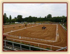 Pohled na drezurní obdélníky, Carthago po drezuře, všestrannost Pardubice 6.8.